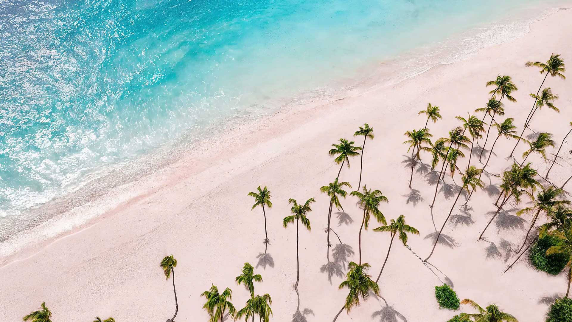 Jewel Palm Beach Punta Cana Punta Cana Jewel Palm Beach Resort All